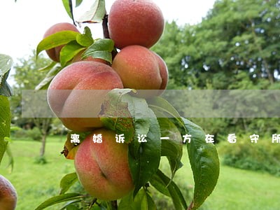 离婚诉讼一方在看守所