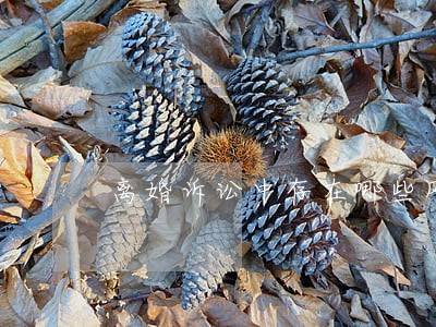 离婚诉讼中存在哪些风险 离婚诉讼中存在哪些风险