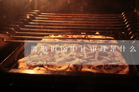 离婚诉讼中止审理是什么意思 离婚诉讼中止审理是什么意思