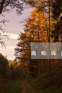 离婚诉讼书怎么填写女方 离婚诉讼书怎么填写女方