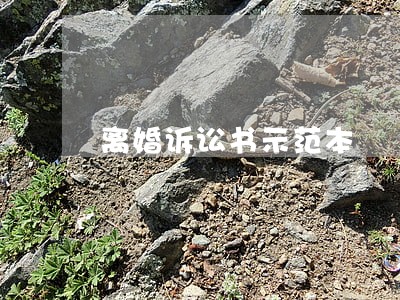 离婚诉讼书示范本 离婚诉讼书示范本