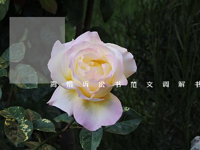 离婚诉讼书范文调解书 离婚诉讼书范文调解书