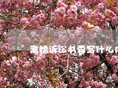 离婚诉讼书要写什么内容 离婚诉讼书要写什么内容
