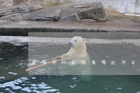 离婚诉讼书跟离婚起诉书是什么 离婚诉讼书跟离婚起诉书是什么