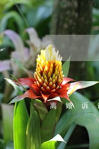 离婚诉讼争夺孩子抚养权怎么判