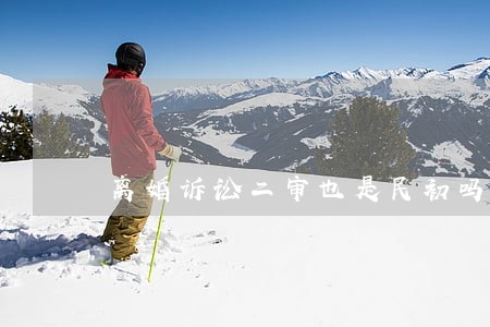 离婚诉讼二审也是民初吗 离婚诉讼二审也是民初吗