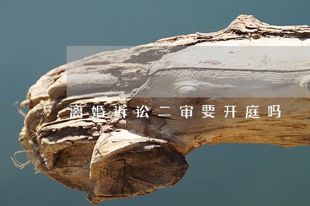 离婚诉讼二审要开庭吗 离婚诉讼二审要开庭吗