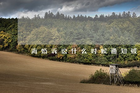 离婚诉讼什么时候通知被告 离婚诉讼什么时候通知被告
