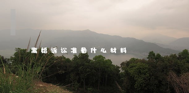 离婚诉讼准备什么材料 离婚诉讼准备什么材料