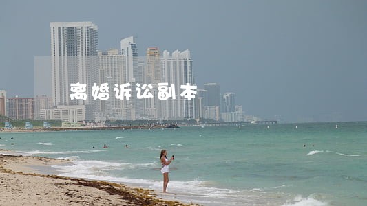 离婚诉讼副本