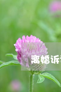 离婚诉讼双方需要出庭 离婚诉讼双方需要出庭