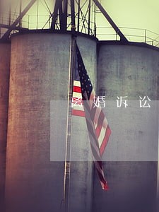 离婚诉讼只诉抚养权吗 离婚诉讼只诉抚养权吗