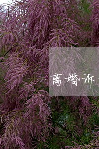 离婚诉讼可以让律师代理吗