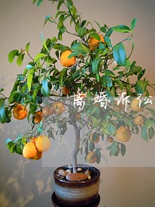 离婚诉讼在法庭上程序主要是什么