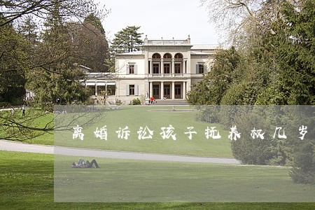 离婚诉讼孩子抚养权几岁