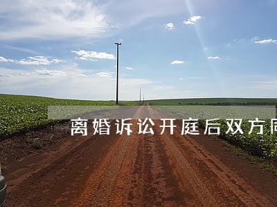 离婚诉讼开庭后双方同意离婚