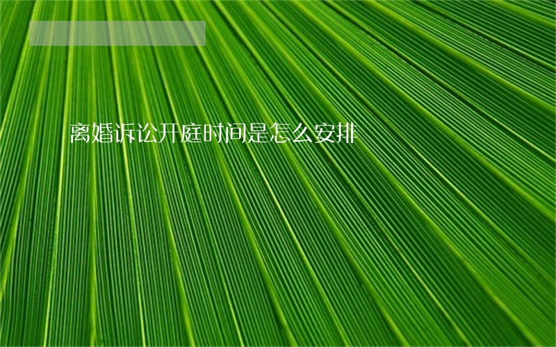 离婚诉讼开庭时间是怎么安排 离婚诉讼开庭时间是怎么安排