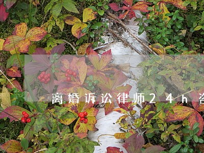 离婚诉讼律师24h咨询 离婚诉讼律师24h咨询