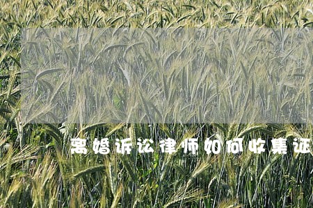 离婚诉讼律师如何收集证据 离婚诉讼律师如何收集证据
