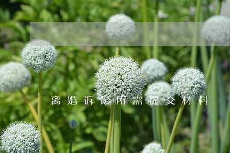 离婚诉讼所需提交材料 离婚诉讼所需提交材料