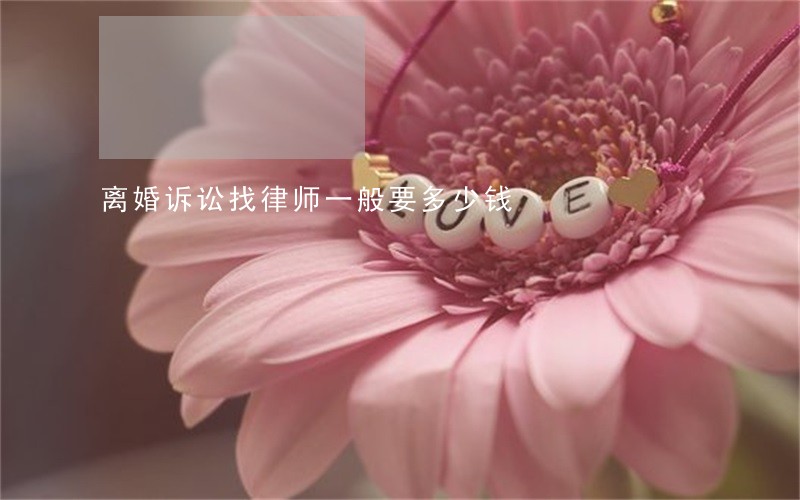 离婚诉讼找律师一般要多少钱 离婚诉讼找律师一般要多少钱