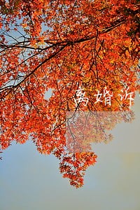 离婚诉讼损害赔偿的规定拓展阅读 离婚诉讼损害赔偿的规定拓展阅读