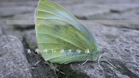 离婚诉讼提交给谁 离婚诉讼提交给谁