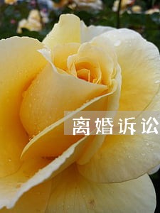离婚诉讼无锡律师收费 离婚诉讼无锡律师收费