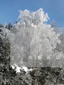 离婚诉讼期有多久 离婚诉讼期有多久