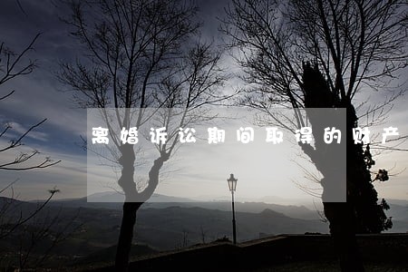 离婚诉讼期间取得的财产 离婚诉讼期间取得的财产