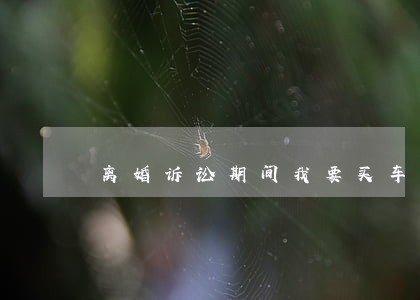 离婚诉讼期间我要买车 离婚诉讼期间我要买车