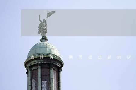 离婚诉讼期间提出新的诉求