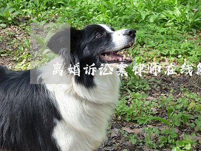 离婚诉讼案律师在线解答 离婚诉讼案律师在线解答