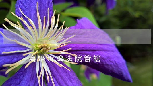 离婚诉讼法院管辖 离婚诉讼法院管辖
