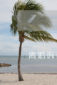 离婚诉讼状格式