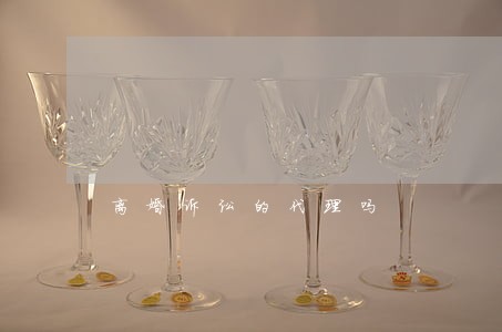 离婚诉讼的代理吗 离婚诉讼的代理吗
