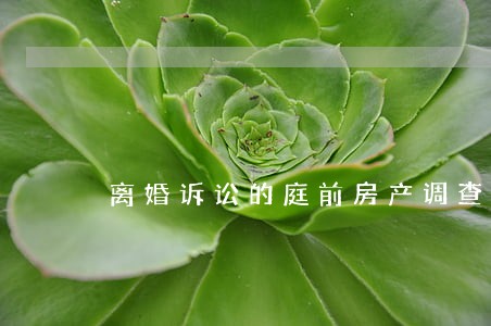 离婚诉讼的庭前房产调查