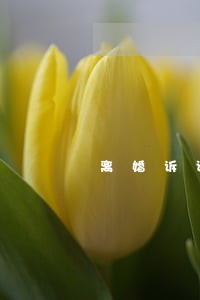 离婚诉讼的律师费规定 离婚诉讼的律师费规定