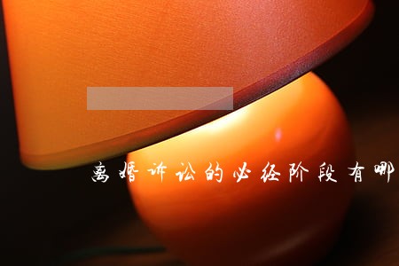 离婚诉讼的必经阶段有哪几个
