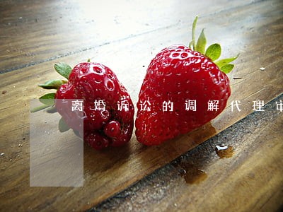 离婚诉讼的调解代理审理程序