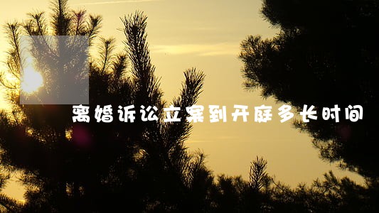离婚诉讼立案到开庭多长时间