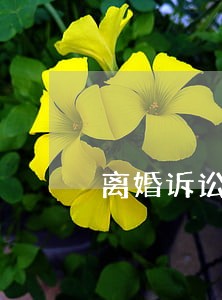 离婚诉讼纠纷律师网站 离婚诉讼纠纷律师网站