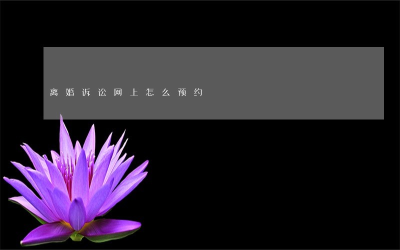 离婚诉讼网上怎么预约