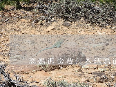离婚诉讼要几本结婚证