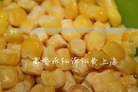 离婚诉讼诉讼费上海 离婚诉讼诉讼费上海