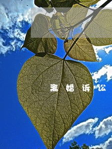 离婚诉讼费收费标准是要怎样的 离婚诉讼费收费标准是要怎样的