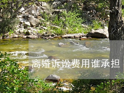 离婚诉讼费用谁承担 离婚诉讼费用谁承担