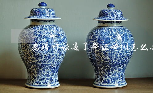 离婚诉讼过了举证时间怎么办