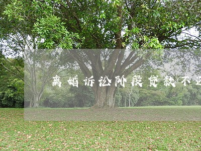 离婚诉讼阶段贷款不还逾期 离婚诉讼阶段贷款不还逾期