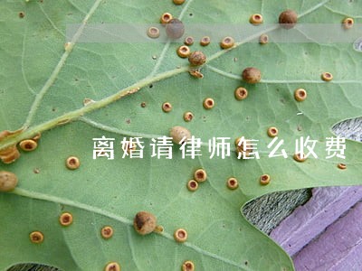 离婚请律师怎么收费 离婚请律师怎么收费